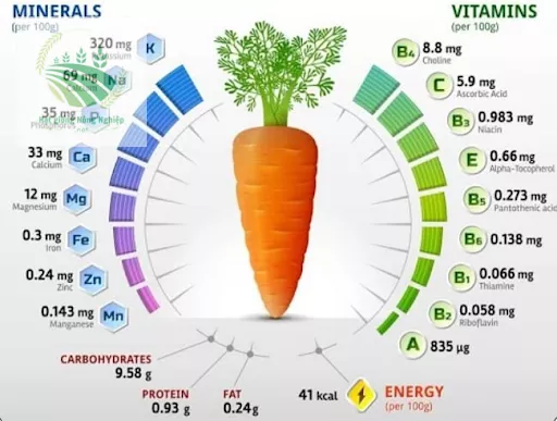 Cà rốt – Nguồn dinh dưỡng tuyệt vời