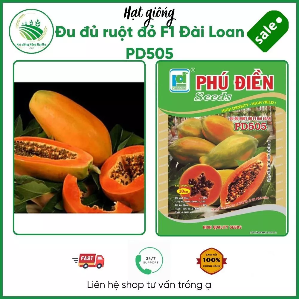 Giới thiệu hạt giống Đu đủ ruột đỏ F1 Đài Loan PD505