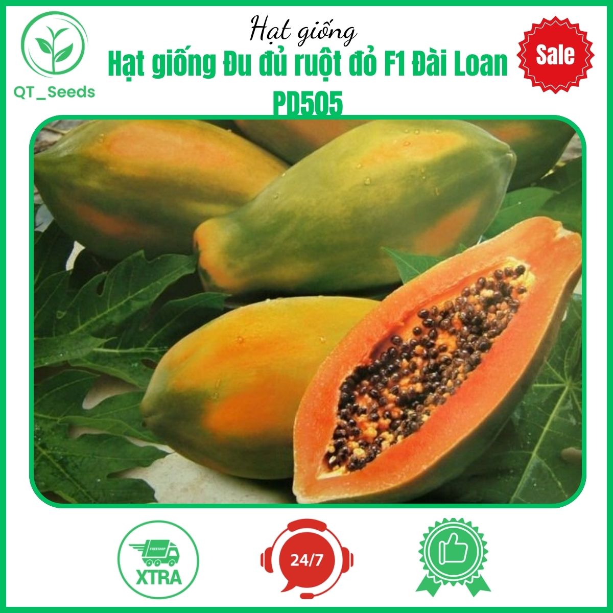 Hạt giống Đu đủ ruột đỏ F1 Đài Loan PD505