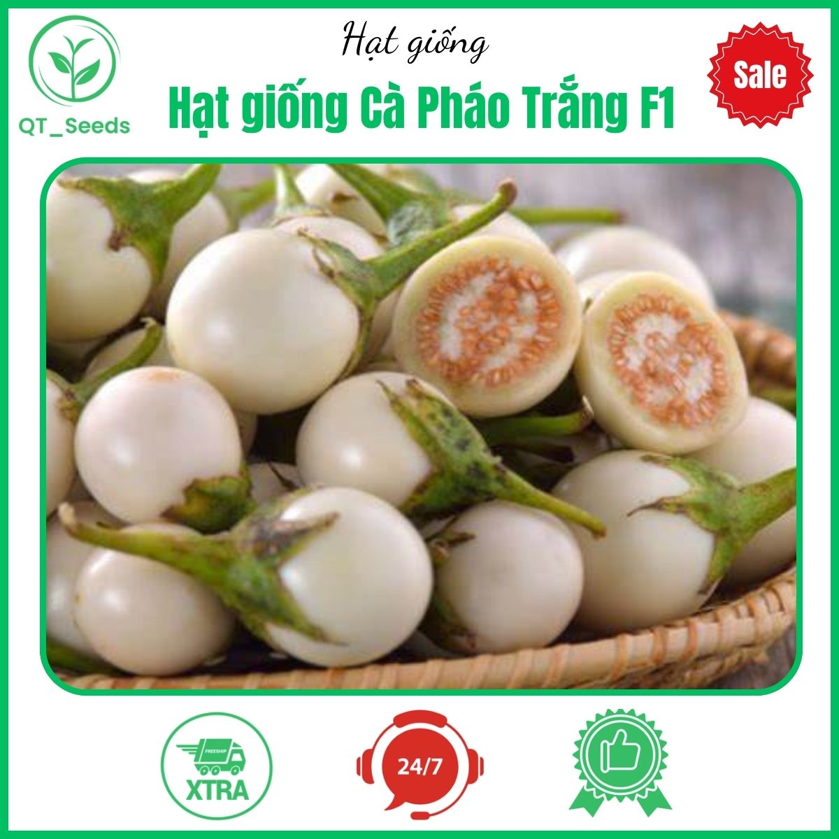 Hạt giống Cà Pháo Trắng F1