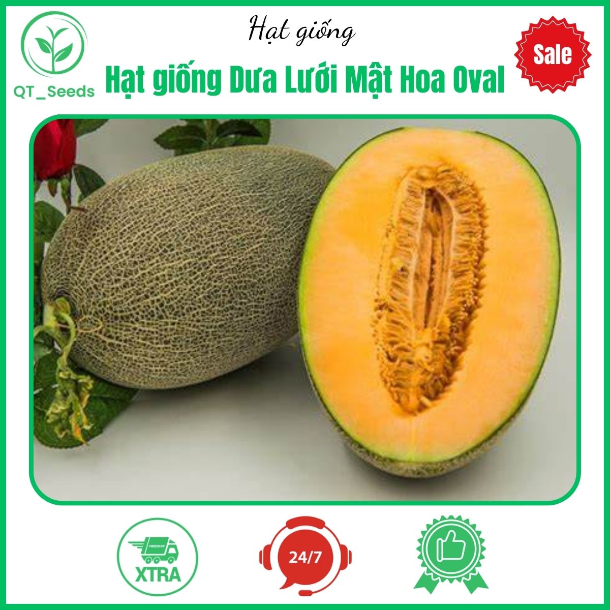 Hạt giống Dưa Lưới Mật Hoa Oval