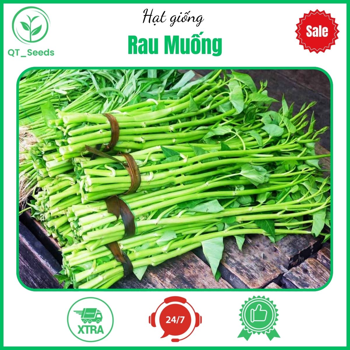 Hạt giống rau muống